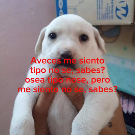 Osea, me siento medio así, pero no así, sabes? medio cuando como but:::